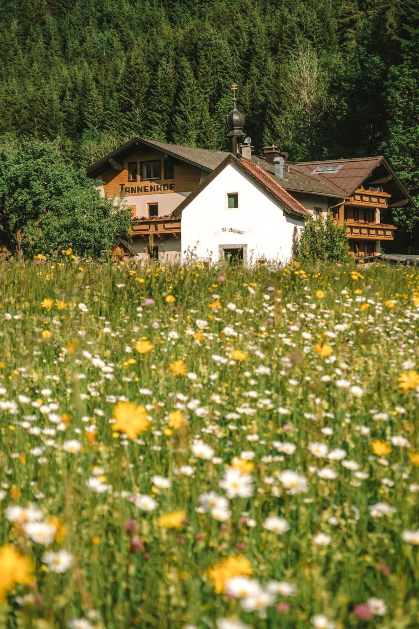 Der Tannenhof Hotel Reuthe Buitenkant foto